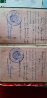  : file-1.jpg