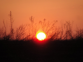  : DSC00539.jpg