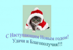  :  .jpg