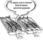  : RSSn48KPTos.jpg