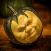  : _2021-07-12_190351.png