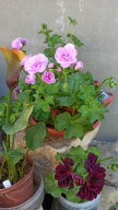  : 8648c602-a72f-4031-a63a-e46ce345a0bd.jpeg