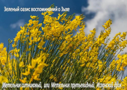  : _2021-07-24_184412.png