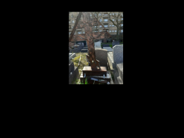  : G-B8.png