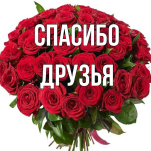  : D084AB08-798F-49C6-9B54-4B72A59BF421.jpeg