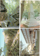102995022.jpg, 479913 