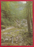 06.06.1985         .jpg, 576990 
