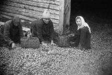 Bild15.jpg, 189087 