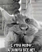  : __01.jpg