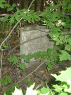  : IMG_3687 .JPG