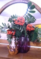  : IMG-20210827-WA0001.jpg
