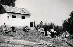 13.    ..jpg, 194536 