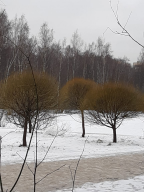 IMG-20210907-WA0006.jpg, 135173 