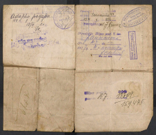 Kaimin Aleksanders passport 1920.02.10_02.jpg, 367851 