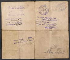 Kaimina Katrine passport 1920.02.24_02.jpg, 350903 
