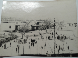 3.   .   ,  ,   ..jpg, 178237 