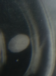 20210919_163541.jpg, 2052607 