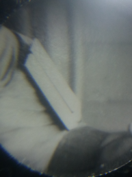  : 20210919_163211.jpg