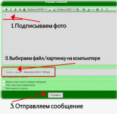  : 1.jpg