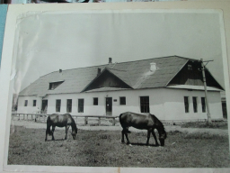 6. . 1962 ..jpg, 180515 