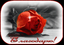  : 24135047.gif