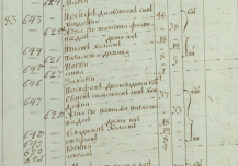 11.jpg, 166434 