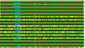  : 13DNA.jpg