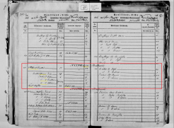  : 1816LVVA_F199_US1_GV340_0385   (2).jpg