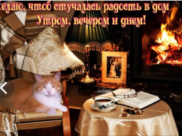  : 342BD94C-3569-4A17-AA95-CCA99D7C41A3.png