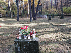 20211026_103957.jpg, 232410 