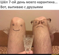 1635444026.jpg, 101880 