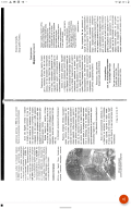 Screenshot_2021-10-31-13-59-17-202.jpeg, 965214 