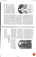 Screenshot_2021-10-31-14-03-03-788.jpeg, 1066555 
