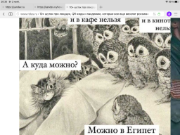  : 22008D33-60FA-4DF3-8BC6-2FCCF953D42D.png
