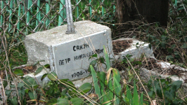  : ϸ   1906 -.jpg