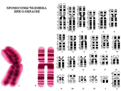  : 42130260_393383665.pdf-7.jpg