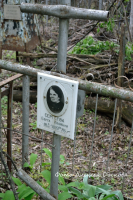  : DSC_4548.JPG