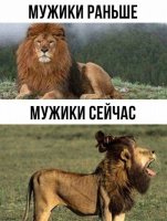  : 1566419740.jpg