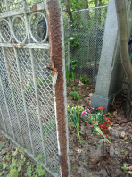  : IMG20210516114729.jpg