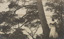 37.jpg, 98241 ����