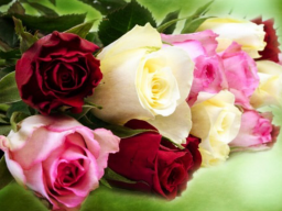  : B1B49601-8722-4DEB-A17B-E1400FE80120.png
