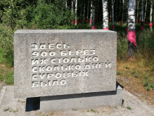 2.PNG, 917789 
