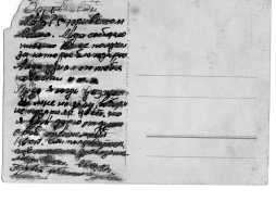  : file (11111111).jpg
