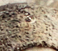 1.jpg, 109958 