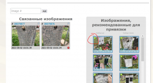 bg3.PNG, 823629 
