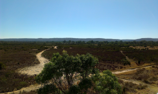  : IMAG0174.jpg