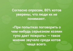 SkyqhYorjDo.jpg, 70668 