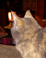  : 20220101_080124.jpg