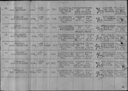 6.    00000240.jpg, 187349 