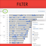  : FTDNA3.png